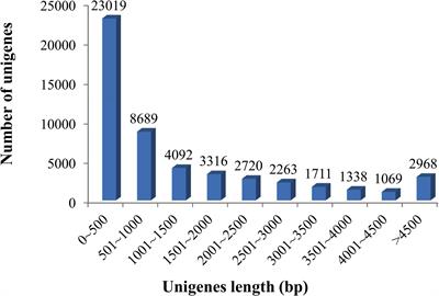 Transcriptome Sequencing of the Endangered Species Elongate Loach (Leptobotia elongata) From the Yangtze River: De novo Transcriptome Assembly, Annotation, Identification and Validation of EST-SSR Markers